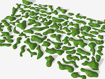 Green Irregular Shaped Vegetation Cover With Natural Design In Garden Landscape 3d model