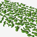 Green Irregular Shaped Vegetation Cover With Natural Design In Garden Landscape