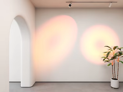 Indoor Wall Lighting With Downlights And Spotlights Creating Warm Light Effects Near Archway And Plant 3d model