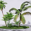 Tropical Palm Trees with Lush Green Grass and Foliage in Garden Landscaping Scene