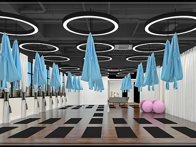 Modern Fitness Studio Space With Black Yoga Mats Pink Exercise Balls And Hanging Blue Equipment Lights 3d model