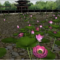 Beautiful Scenic Pond With Pink Lotus Flowers Green Leaves Chinese Style Tower And Trees