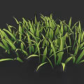 Green Plant Drawing With Fresh Vibrant Grass Blades And Natural Foliage