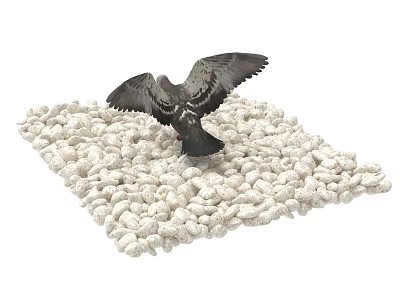 Flying Animal Pigeon Spreading Wings Standing on White Pebbles Surface 3d model