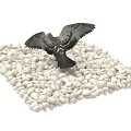 Flying Animal Pigeon Spreading Wings Standing on White Pebbles Surface