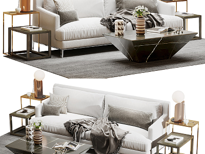 Modern double sofa coffee table combination model