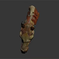 Horse Head Anatomy Model Showing Organs Muscles Skeleton Vessels And Hair Structure