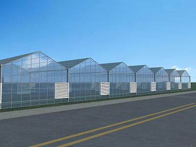 Garden Ornaments Featuring Glass Greenhouse Structures Along Road Under Blue Sky 3d model
