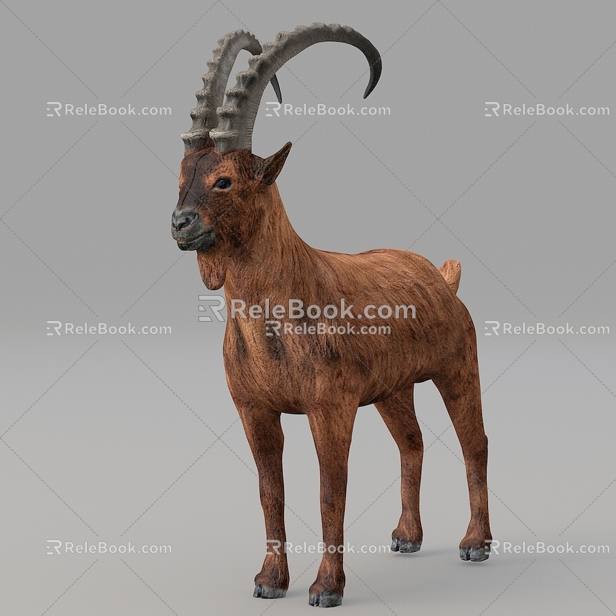 Antelope Elk Wildlife model