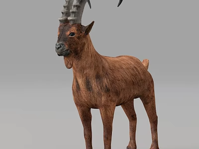 Realistic Brown Goat With Long Curved Horns In Standing Posture On Gray Background 3d model