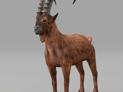 Antelope Elk Wildlife model