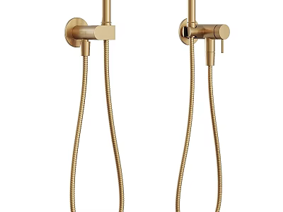 Modern Gold Handheld Shower Head with Flexible Hose and Wall Mount 3d model