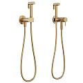 Modern Gold Handheld Shower Head with Flexible Hose and Wall Mount