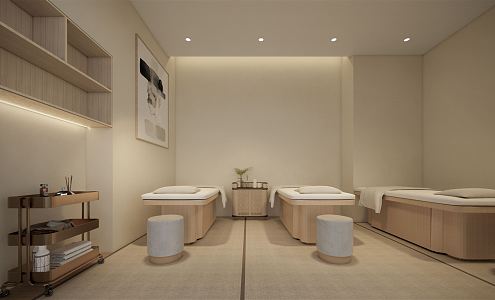 Japanese SPA Zen Simple Beauty Room 3d model