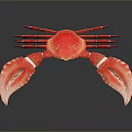 Red Crab With Large Claws Vibrant Red Color And Detailed Body Texture