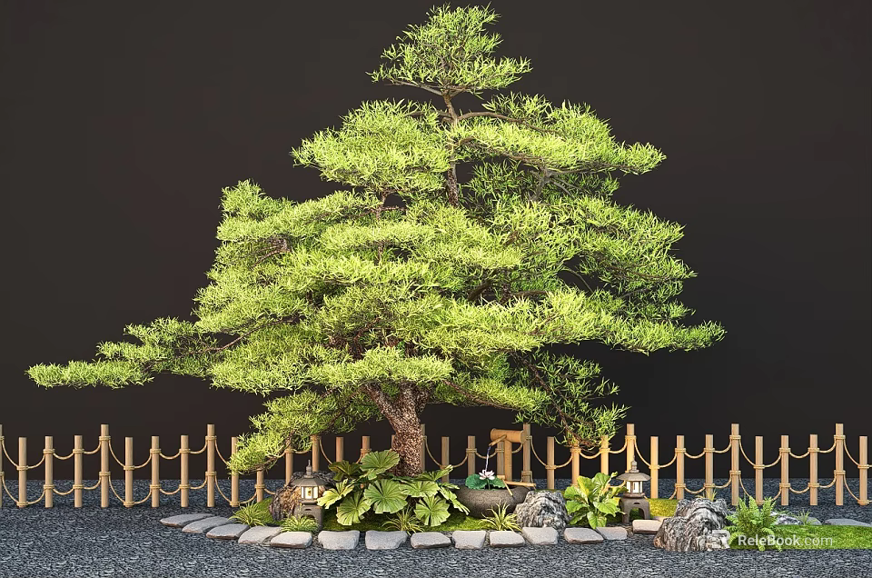 Garden Plant Combination Featuring Pine Tree Bamboo Fence Stones And Small Green Plants 3d model 