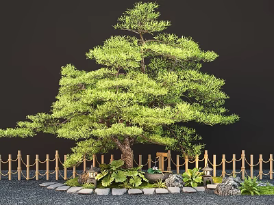Garden Plant Combination Featuring Pine Tree Bamboo Fence Stones And Small Green Plants 3d model