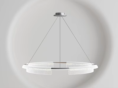 Minimalist Modern Ring Shaped Chandelier with Metal Frame and Transparent Design 3d model