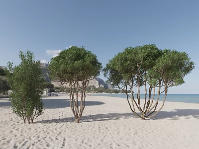 Lush Green Shrubs Stand on Sandy Beach by Blue Sea and Clear Sky 3d model