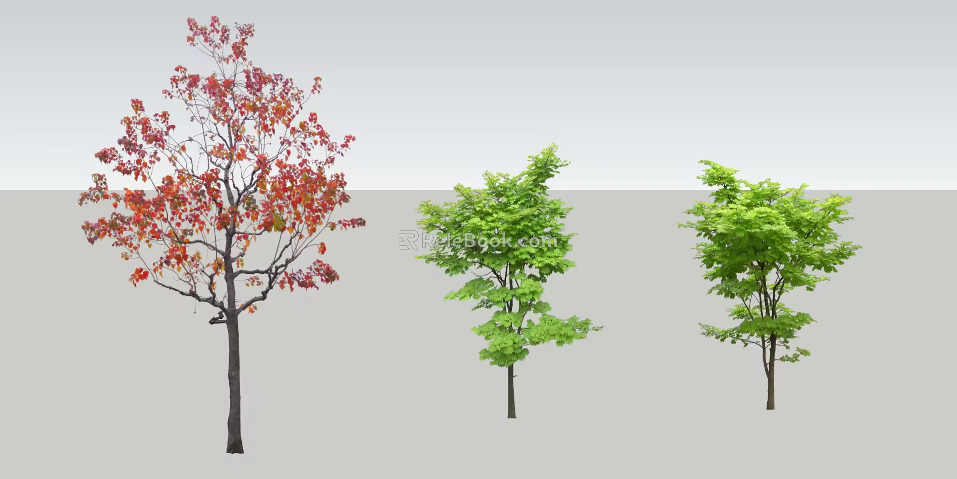 Modern Tree Landscape Tree 3d model