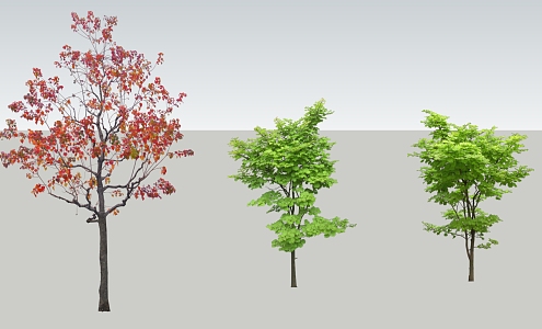 Modern Tree Landscape Tree 3d model