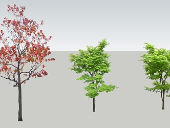 Modern Tree Landscape Tree 3d model