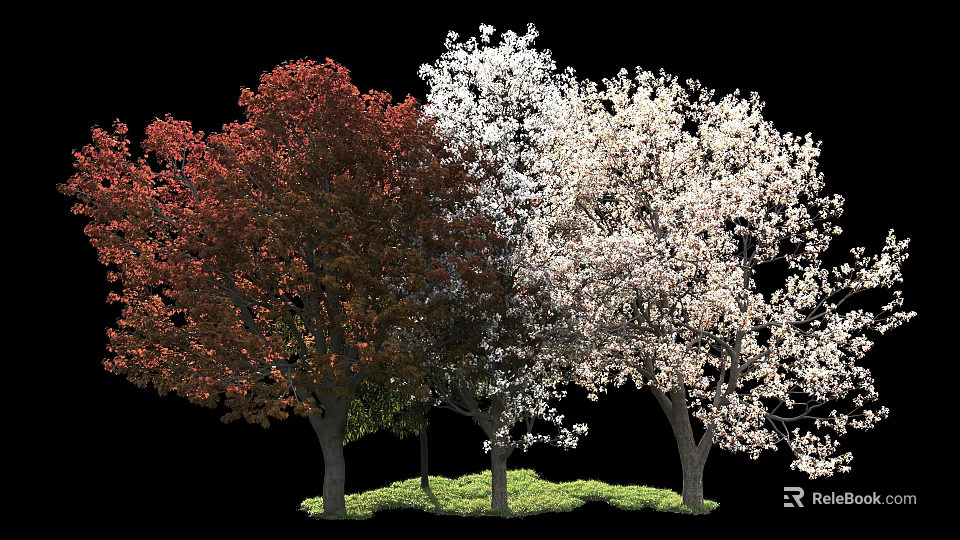 Vibrant Arbor Trees With Red Leaves White Blossoms And Green Grass 3d model 