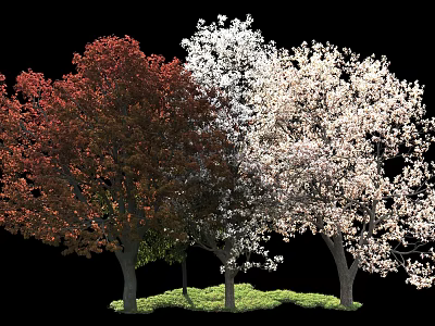 Vibrant Arbor Trees With Red Leaves White Blossoms And Green Grass 3d model