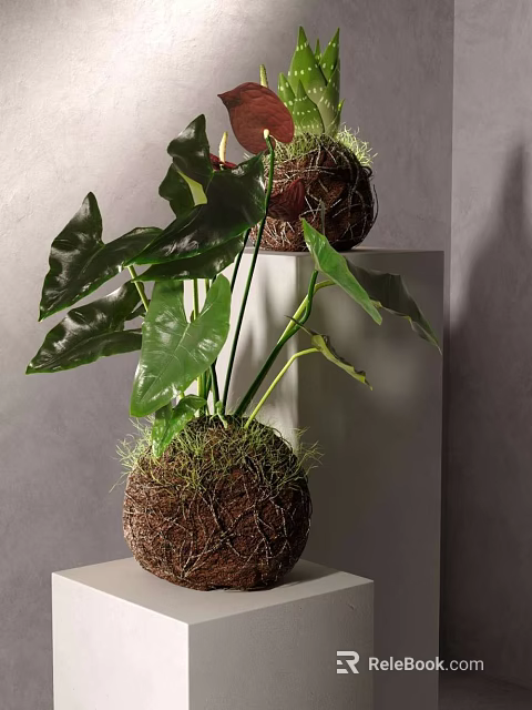 Shower Sauna Room Interior With Green Plant On White Stand And Gray Wall 3d model 