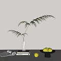 Stylish Decorative Ornament Combination With Clear Glass Vase Fern Plant Black Bowl And Yellow Apples