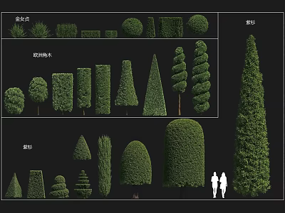 Ornamental Shrubs with Golden Privet Red Photinia Purple Leaf and Spherical Conical Cylindrical Shapes 3d model