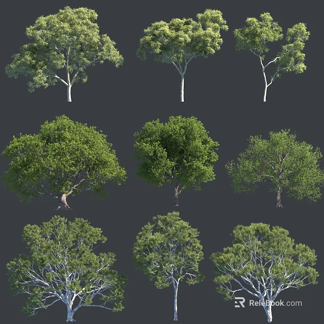 Various Arbor Varieties Showcasing Lush Green Foliage And Different Canopy Shapes 3d model 