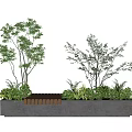 Lush Green Plants With Trees Shrubs And Wooden Bench In Concrete Planter