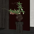 Dark Vase With Green Leaves White Pink Blooms On Black Pedestal By Red Dark Walls