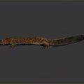 Orange and Black Spotted Lizard with Long Tail on Dark Background