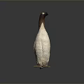 Penguin Figurine With Brown Head White Body And Yellow Feet Standing On Dark Background