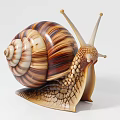 Reptile Snail With Spiral Striped Shell And Textured Body On White Background Close Up View