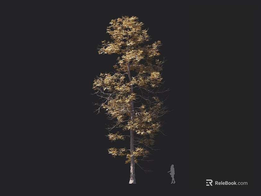 Tall Tree with Golden Leaves and Thick Trunk Against Dark Background 3d model 