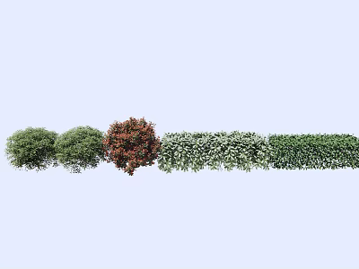 Various Types Of Garden Shrubs With Green And Red Foliage For Landscaping 3d model
