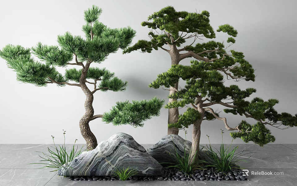 Natural Garden Decor With Bonsai Pine Trees Rocks And Small Greenery 3d model 