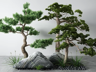 Natural Garden Decor With Bonsai Pine Trees Rocks And Small Greenery 3d model