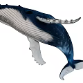 Blue And White Humpback Whale Leaping With Extended Flippers And Tail 3d model