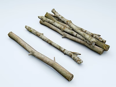 Arbor Tree Branches Featuring Natural Texture And Various Lengths In Brownish Gray 3d model