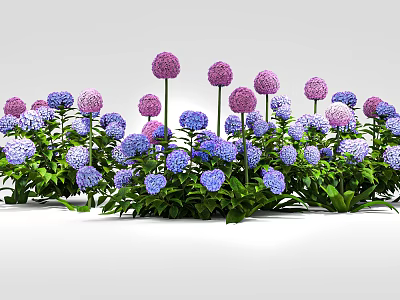 Vibrant Plant Combination With Purple Blue Spherical Blooms And Green Leaves 3d model