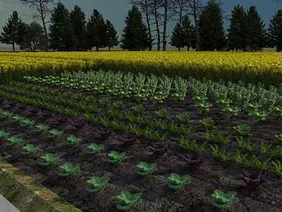 Garden Landscape With Various Vegetable Beds Green Purple Leaves Yellow Flower Field And Background Trees 3d model