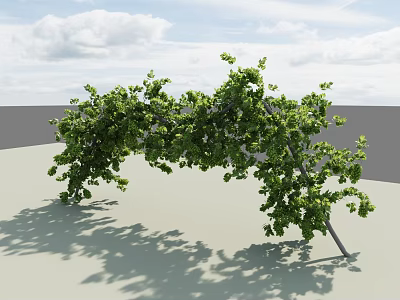 Leafy Green Vine Arch Structure With Support Frame Under Blue Sky 3d model