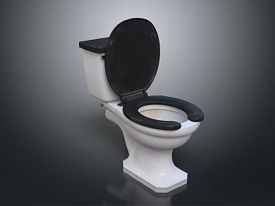 White Ceramic Toilet with Black Seat and Lid Modern Home Bathroom Essential Fixture Design 3d model