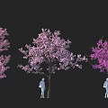 Three Flowering Arbors with Pink Purple Violet Blooms and Human Silhouettes Below
