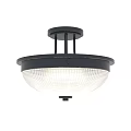 Modern Ceiling Light With Black Metal Frame And Transparent Grid Lampshade 3d model