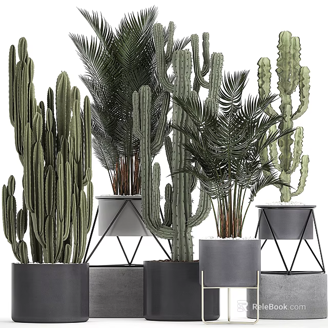 Modern Ornamental Plant Decor Set with Cacti Palm Leaves and Metal Stand Planters 3d model 